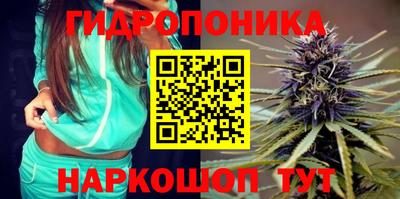 Альфа ПВП Можайск
