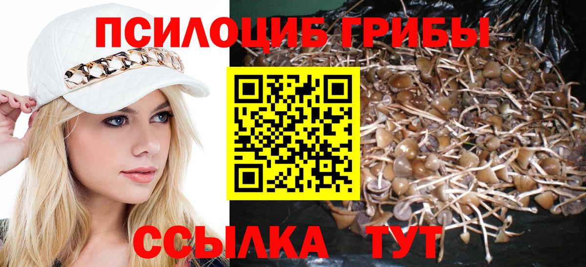 Галлюциногенные грибы GOLDEN TEACHER Альметьевск