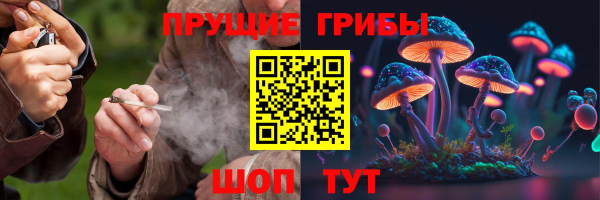 Альметьевск  Псилоцибиновые грибы MAGIC MUSHROOMS  Вход с VPN 